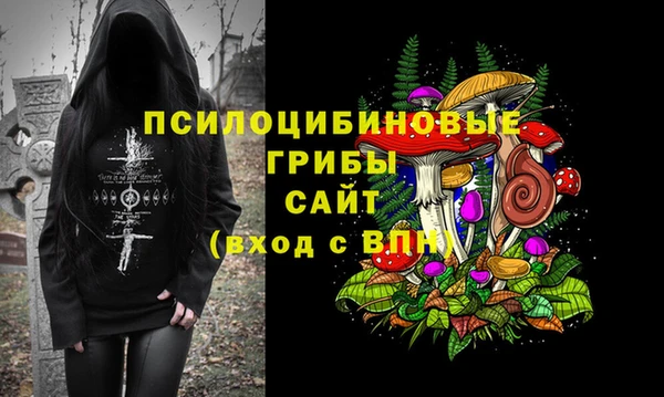 бошки Алзамай