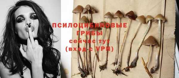 бошки Алзамай