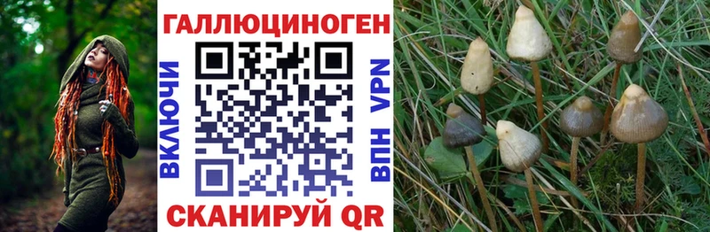 Галлюциногенные грибы мицелий  blacksprut как зайти  Любим 